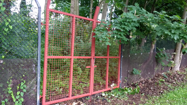 Gates into Trees Opposite CottonWood